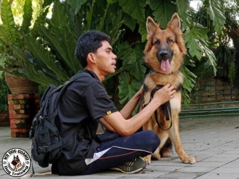 รับดูแลสุนัขด้วยใจ ทีมงานมืออาชีพ